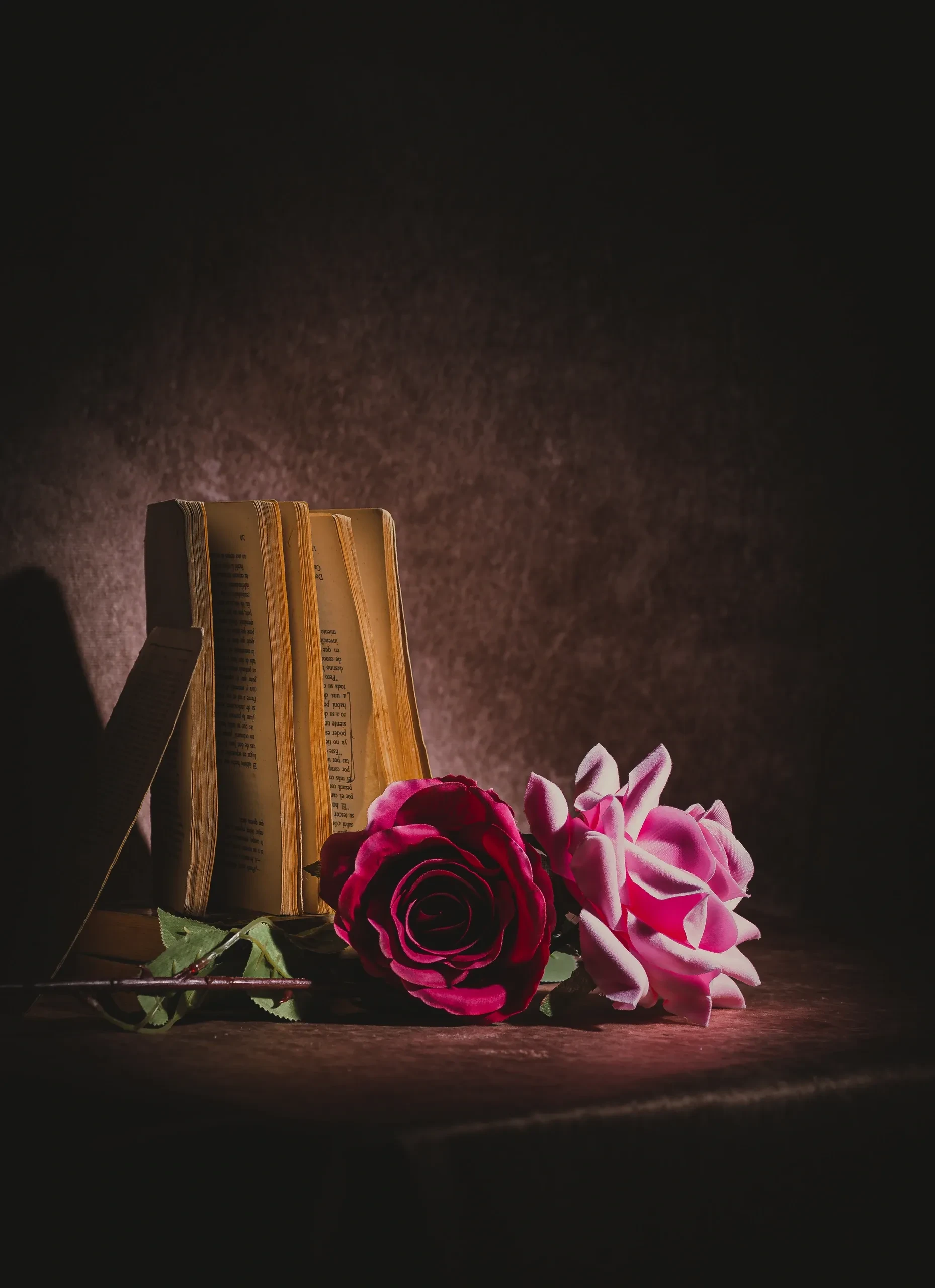 Sex Degrees of Separation by Victoria Rosefield — book cover